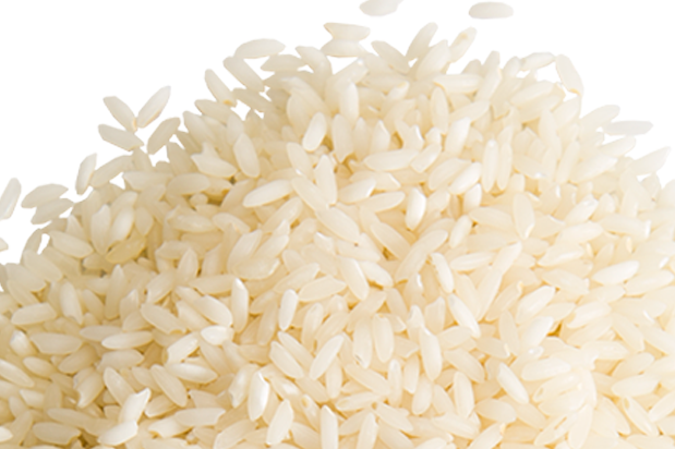 Riz blanc 