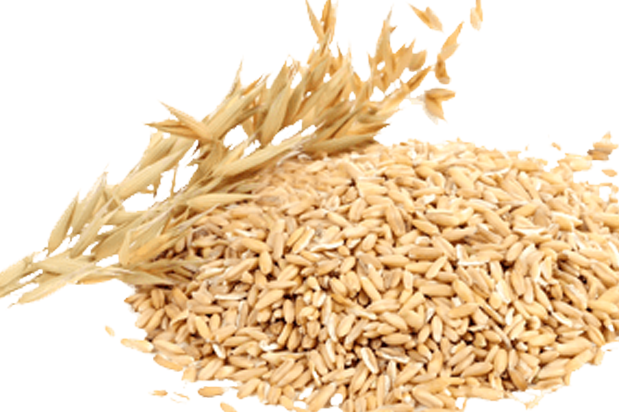 Riz paddy